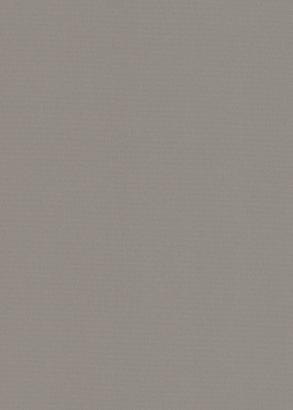 ЛДСП F501 ST2 16*2800*2070 мм Алюминий матированный Egger