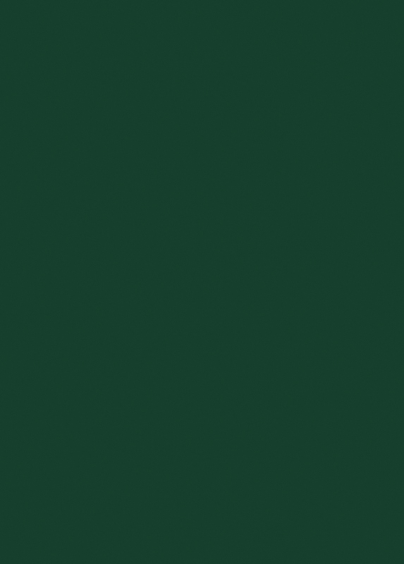 БСП U606 ST9 0,8*2800*1310 мм Зелёный лес Egger