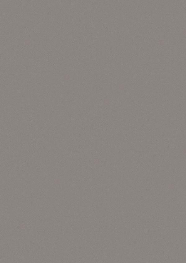 БСП F500 ST20 0,8*2800*1310 мм Металлик сталь Egger